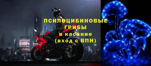 метадон Вяземский