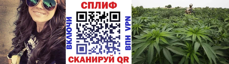 Шишки марихуана индика  Купить закладки  Котельнич 